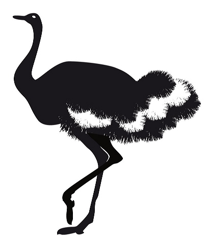 ostrich.jpg