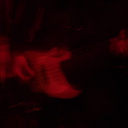 dsc00194